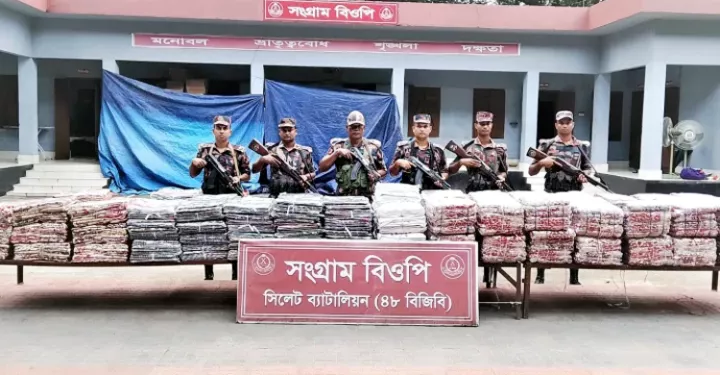 সিলেট সীমান্তে বিজিবির অভিযানে ভারতীয় পণ্য জব্দ