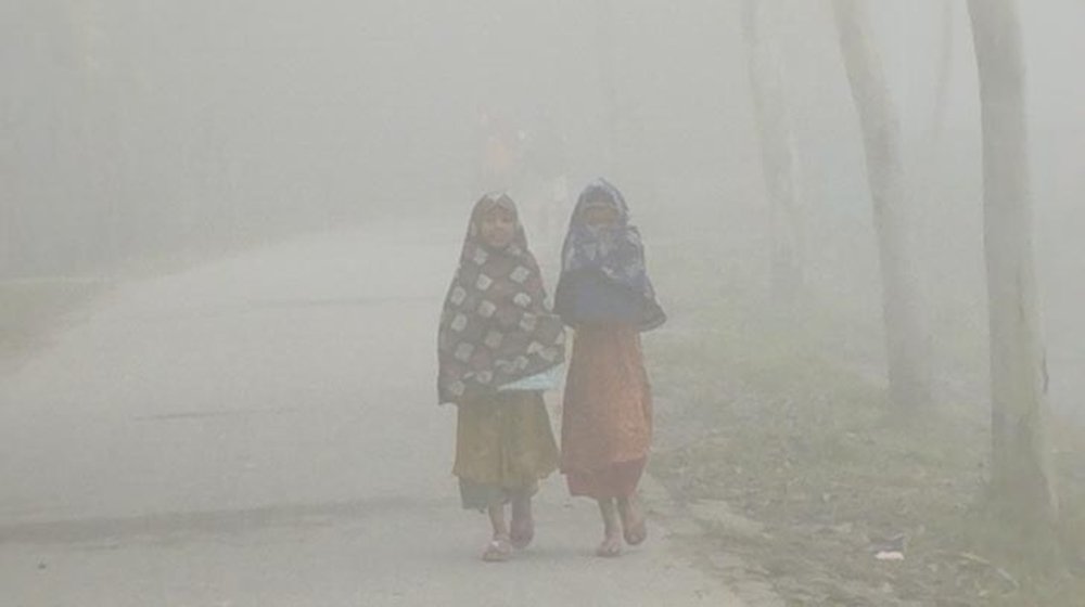 শীত নিয়ে নতুন যে বার্তা দিলো আবহাওয়া অফিস