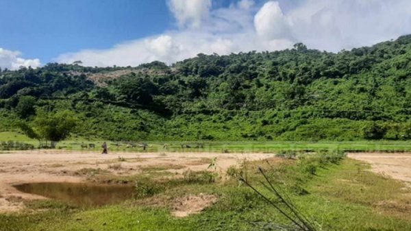 বিশ্বম্ভরপুর সীমান্তে বিএসএফের গুলিতে যুবক নিহত