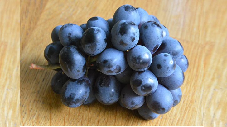 কালো আঙুরের ৪ স্বাস্থ্য উপকারিতা