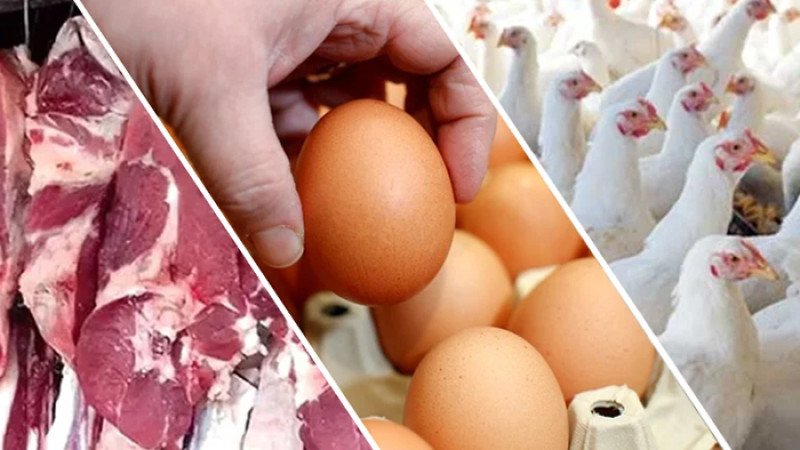 কাল থেকে সারাদেশে কম দামে ডিম, মুরগি ও গরুর মাংস বিক্রি শুরু