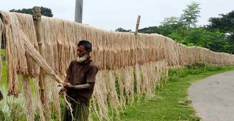আজ জাতীয় পাট দিবস