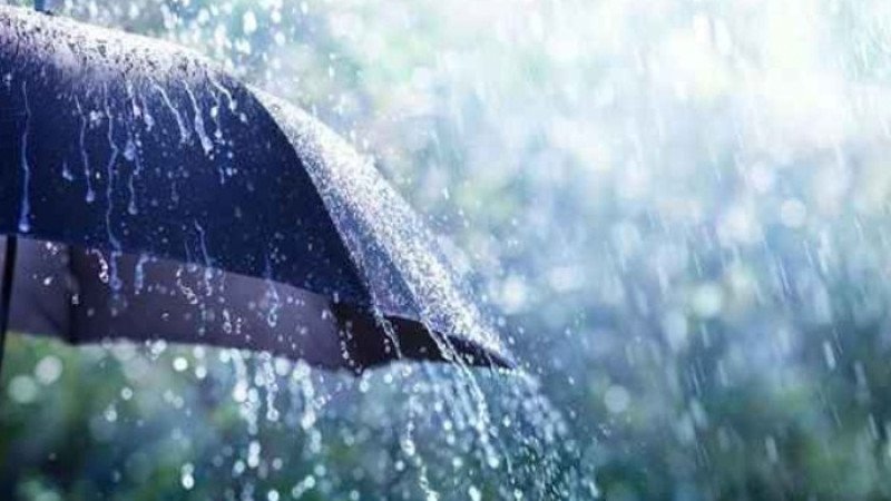 ২৪ ঘণ্টার মধ্যে যেসব জায়গায় বৃষ্টির আভাস দিয়েছে আবহাওয়া অধিদপ্তর