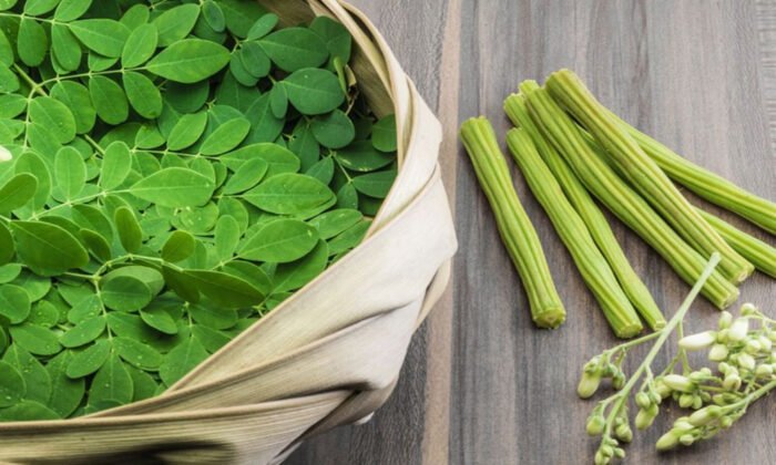 হজমের সমস্যা কমাতে সজনে ডাঁটা উপকারি