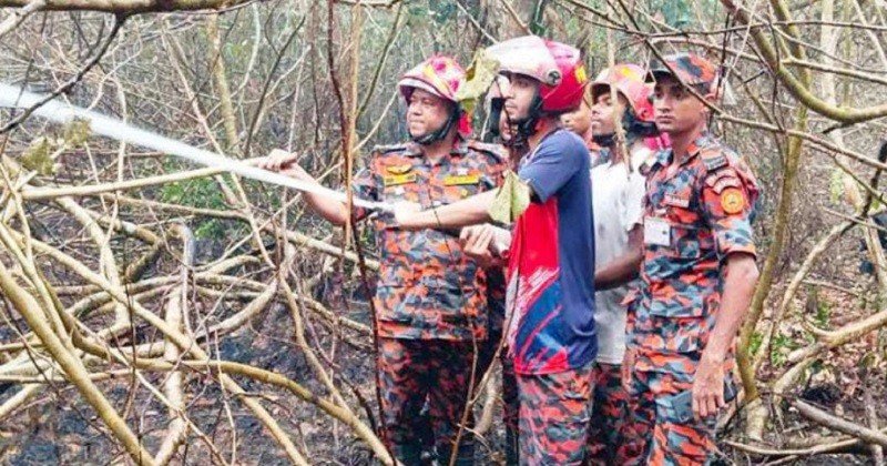 ৪৮ ঘণ্টা পর সুন্দরবনের আগুন সম্পূর্ণ নিয়ন্ত্রণে, চলছে সর্বশেষ তল্লাশি
