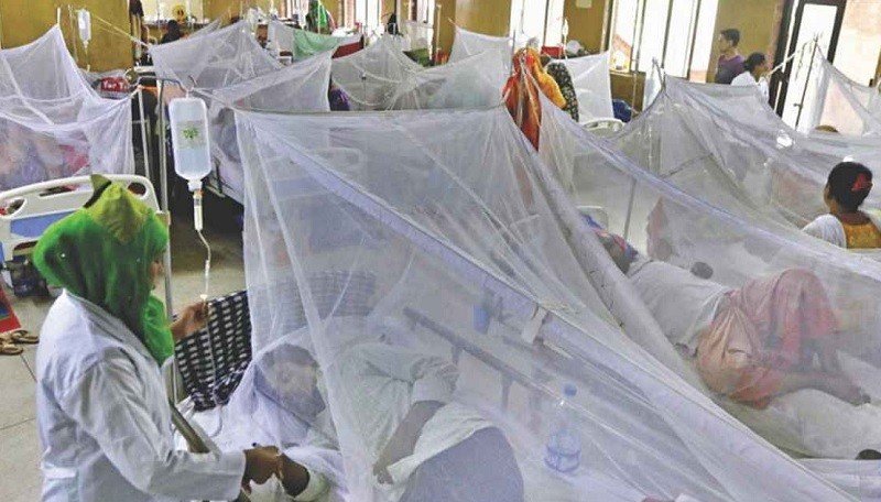 ডেঙ্গুতে ২৪ ঘণ্টায় আরও ১ জনের মৃত্যু,আক্রান্ত ২৬২