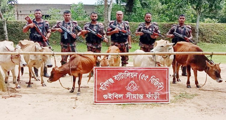 হবিগঞ্জ সীমান্তে ভারতীয় মালামাল জব্দ