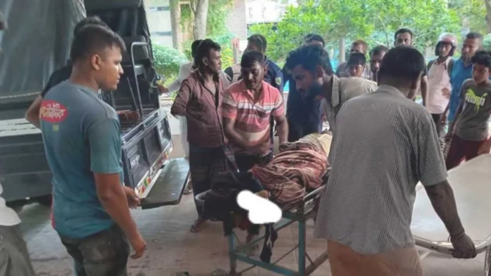 ঝিনাইদহের শৈলকুপায় ট্রাকচাপায় একই পরিবারের ৩ জন নিহত