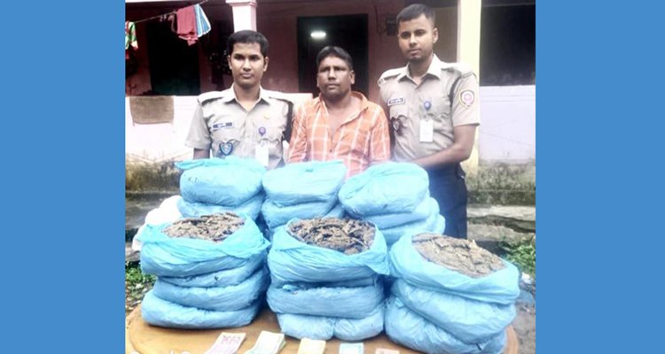 হবিগঞ্জে ২৯ কেজি গাঁজাসহ গ্রেফতার ১