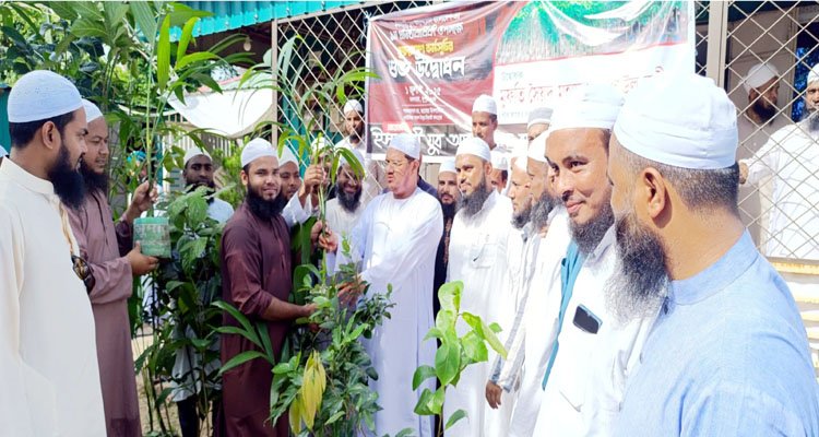 দেশব্যাপী বৃক্ষরোপণ কর্মসূচি উদ্বোধন করলেন পীর হুজুর চরমোনাই