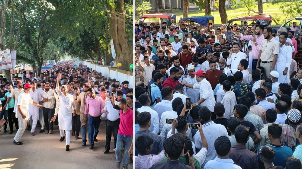 ধানের শীষ জিতলে বিএনপি জিতবে: মাহবুবুর রহমান