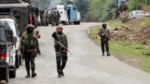 জম্মু-কাশ্মীরের কুপওয়ারায় ভারতীয় বাহিনীর গুলিতে ২ সন্ত্রাসী নিহত