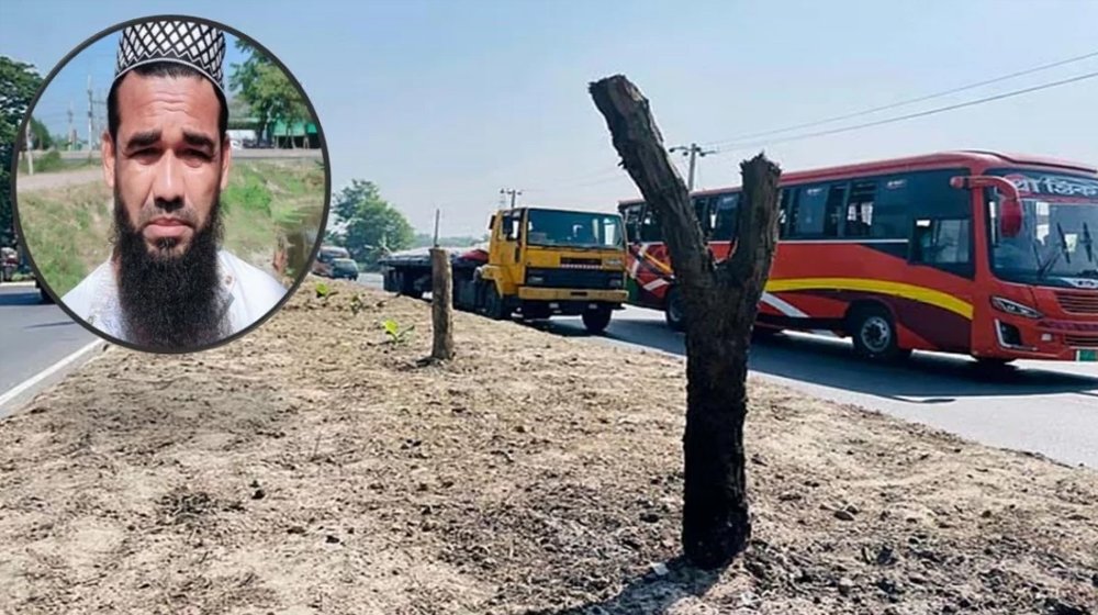 বেলতলীতে ৫০টি গাছ কাটার ঘটনায় মামলা, এক ব্যক্তি গ্রেপ্তার