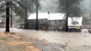 ক্যালিফোর্নিয়ায় ভয়াবহ ঝড় ও ভারী বৃষ্টিতে ৩ জনের মৃত্যু