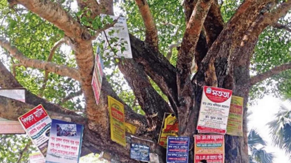 গাছে পেরেক ঠুকলে জরিমানা ২০ হাজার টাকা, অধ্যাদেশ জারি