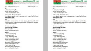 নুরের আসনে বিএনপির কমিটি বিলুপ্ত