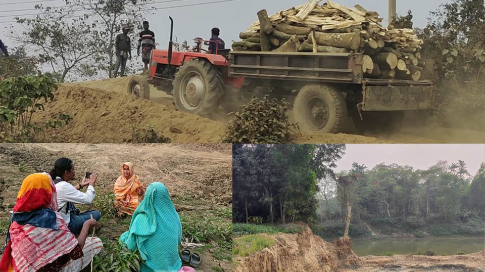 গোমতীর চরে অবাধে গাছ ও মাটি কাটায় ভাঙনের শঙ্কা, হুমকিতে কৃষি