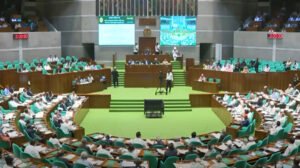 অন্তর্বর্তী সরকারের ৯৮টি অধ্যাদেশ হুবহু সংসদে তোলার সুপারিশ