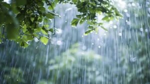 ১৫ জেলায় ৬০ কিমি বেগে ঝড়ের আভাস