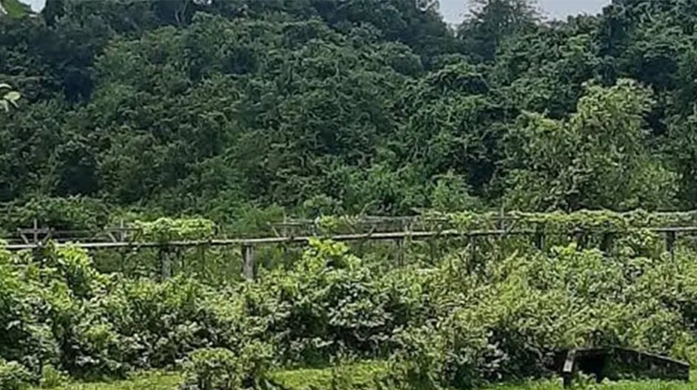 উখিয়া সীমান্তে মাইন বিস্ফোরণে রোহিঙ্গা যুবকের পা বিচ্ছিন্ন