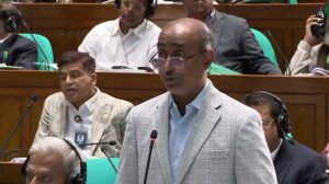 সংবিধান সংশোধনে ১৭ সদস্যের কমিটি গঠনের প্রস্তাব সরকারি দলের