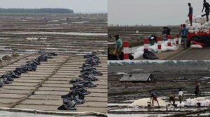 কালবৈশাখীতে লবণের মাঠ তছনছ, বিপাকে ৫০ হাজার চাষি