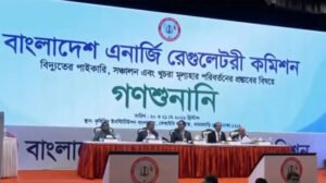 বিদ্যুতের দাম ২১ শতাংশ বাড়ানোর প্রস্তাব পিডিবির