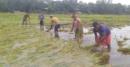 বৃষ্টি নিয়ে নতুন তথ্য, কৃষকদের জন্য সুখবর