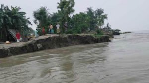 যমুনায় পানি বাড়ায় সিরাজগঞ্জে ভাঙন ও ফসলহানির শঙ্কা