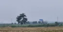 শূন্য রেখায় থাকা সেই ১৭ জনকে ফিরিয়ে নিল বিএসএফ