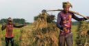 উত্তরাঞ্চলে কৃষির উন্নয়নে ৩০০০ কোটি টাকার তহবিল গঠন