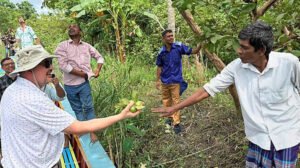 স্ত্রীকে নিয়ে ভাসমান পেয়ারাবাজারে মার্কিন রাষ্ট্রদূত, স্বাদ নিলেন পেয়ারার