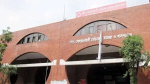হাতে থাকা ব্যাগে ছিনতাইকারীর টান, রিকশা থেকে পড়ে শিক্ষিকার মৃত্যু