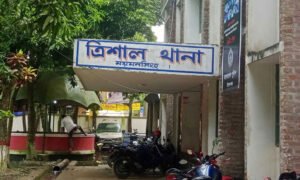 ময়মনসিংহে ট্রাক-অটোরিকশা সংঘর্ষ ও গাড়ি চাপায় নিহত ৩