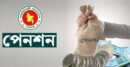 মাসিক পেনশন সর্বোচ্চ ৭০ হাজার ২০০, সর্বনিম্ন ১৮ হাজার টাকা