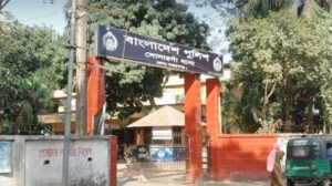 মেঘনায় ডুবে স্কুল শিক্ষার্থী ২ যমজ ভাইয়ের মৃত্যু