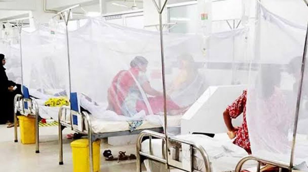 ডেঙ্গুতে মৃত্যু ৩০০ ছুঁইছুঁই